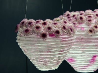 Lampionnen met Chrysant Abbey - Limited Edition by Zentoo