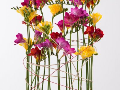Merry-go-round Freesia ontwerp