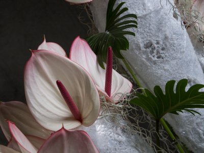 Icy Christmas object by Frédéric Dupré