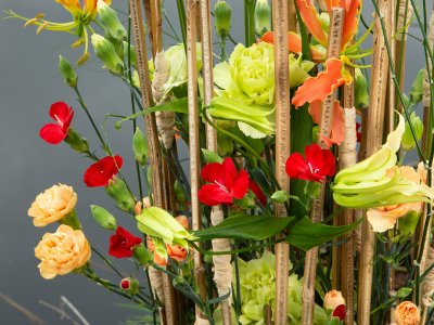 Fresh carnation arrangement