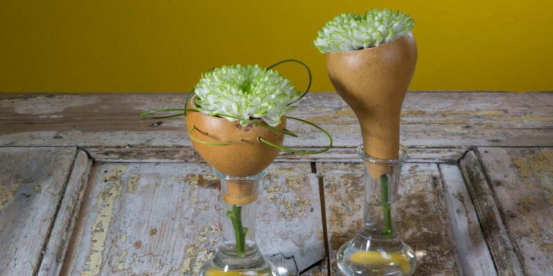 Grappige basis van gedroogde kalebas