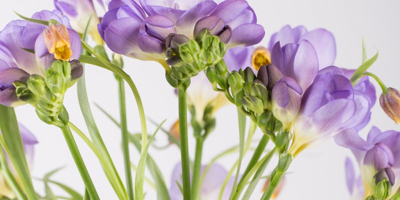 Het mysterie van de zee