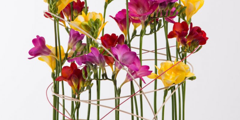 Merry-go-round Freesia ontwerp