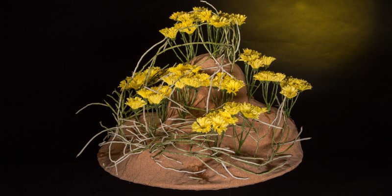 Floral treasure Nibali