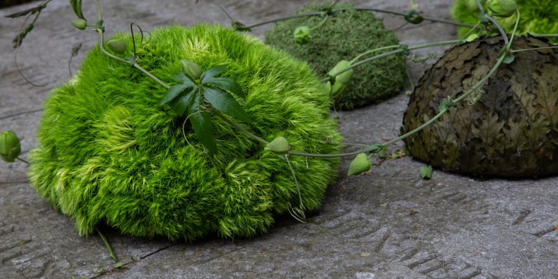 Sereen en natuurlijk rouwwerk met Green Trick