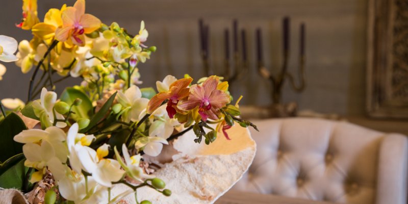 Orchideeën in landelijk chique stijl