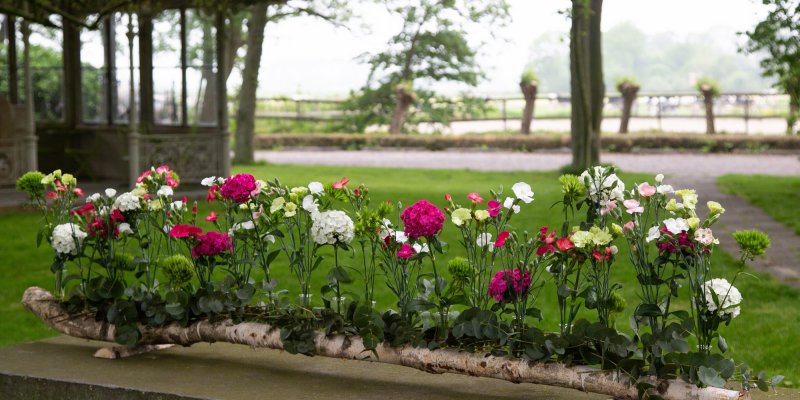 Tafeldecoratie met verschillende soorten anjers