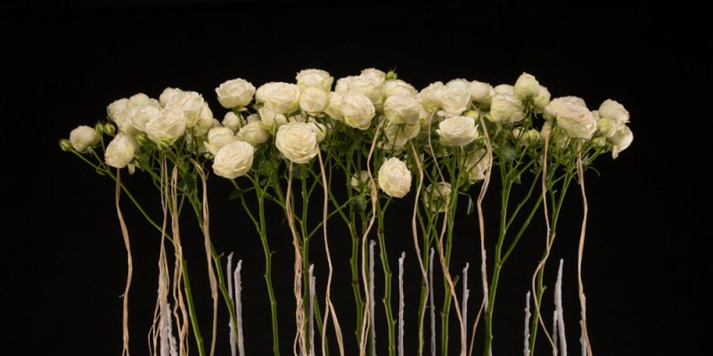 Classic Christmas with spray roses