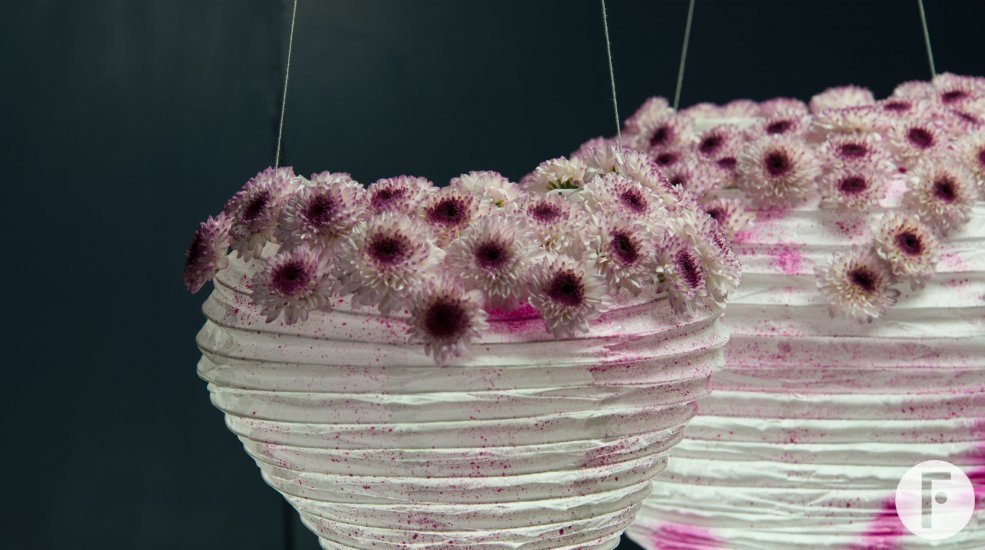 Lampionnen met Chrysant Abbey Limited Edition 1 van Zentoo close-up