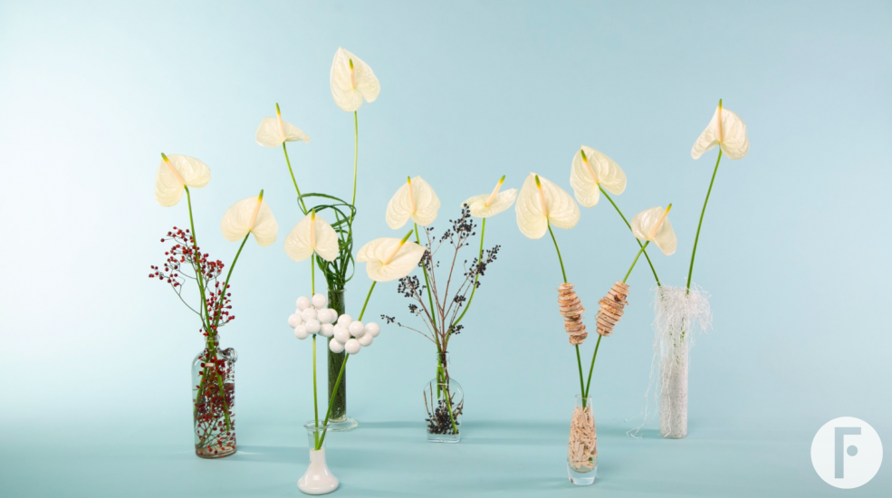 Feestelijk gedecoreerde snij Anthuriums - Flower Factor