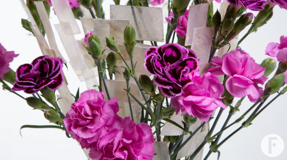 Elegant geschikt anjerboeket