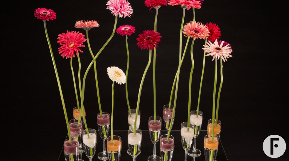 Mix Mini Gerbera Christmas decoration