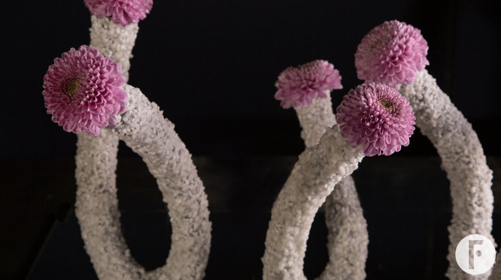 Vanya Pink chrysant van Zentoo - design Pim van den Akker