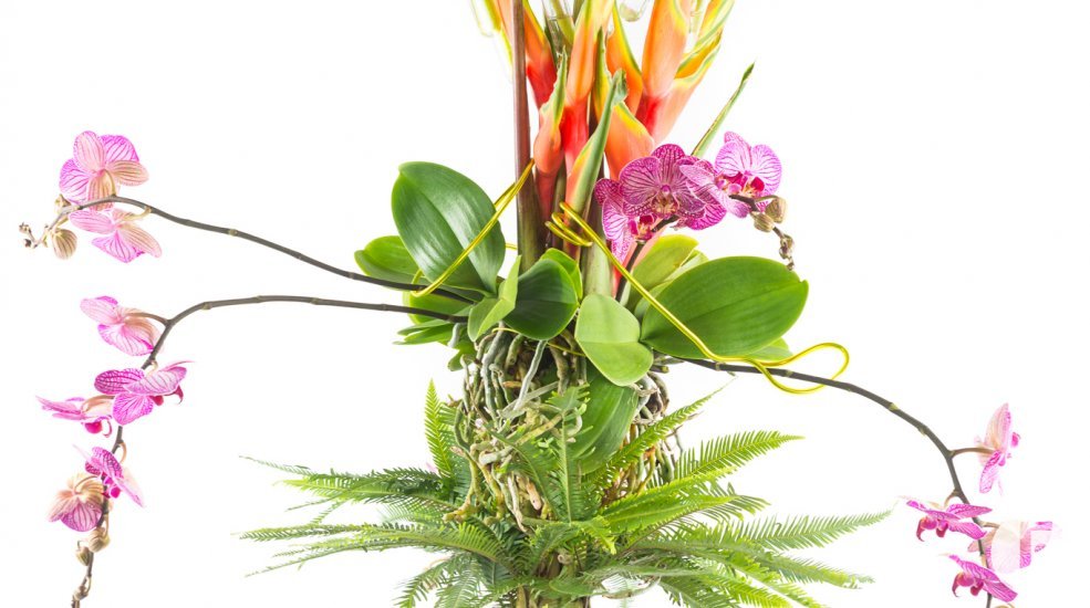 Jose Bontje + Peter Manders