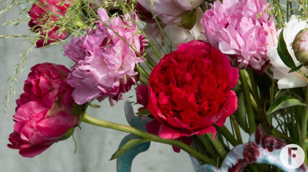 Mix of peonies in an Italian vase close-up