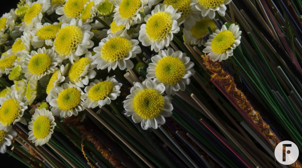Kleurrijk contrast met Sun Up van Zentoo close-up