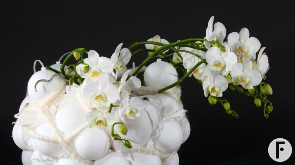 Pim van de Akker FTJ 4 1456