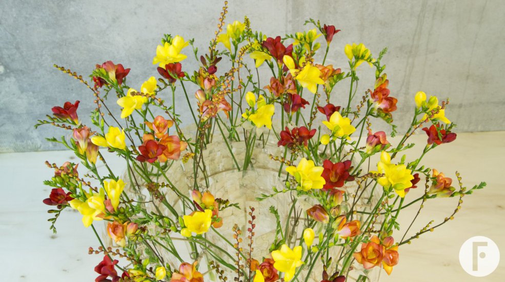 Vlammend #FreestyleFreesia design top