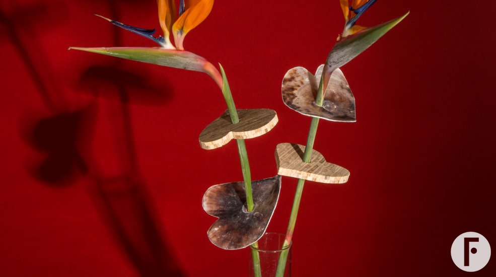 Exotic Valentine's Day present with Strelitzia