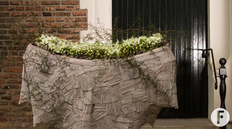 Luxe Helleborus 'Verboom Beauty' creatie