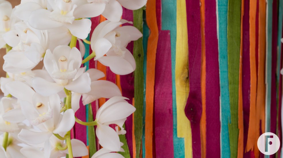 Close-up of the Ice Cascade Cymbidium