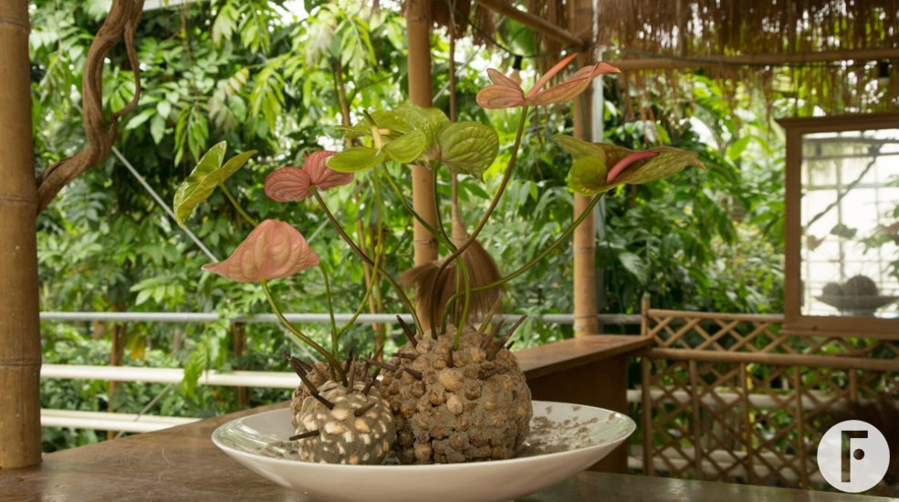 Artistic Anthurium arrangement