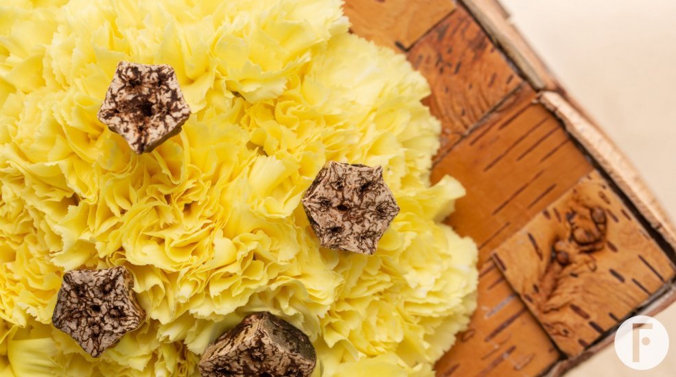 Trendy Dianthus vierkant mono boeket