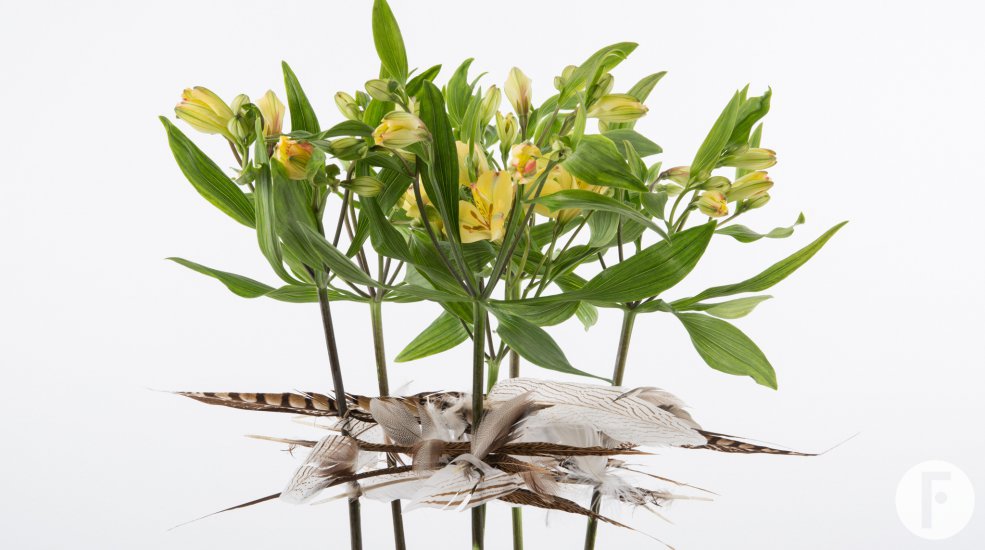 Alstroemeria design met veren close-up