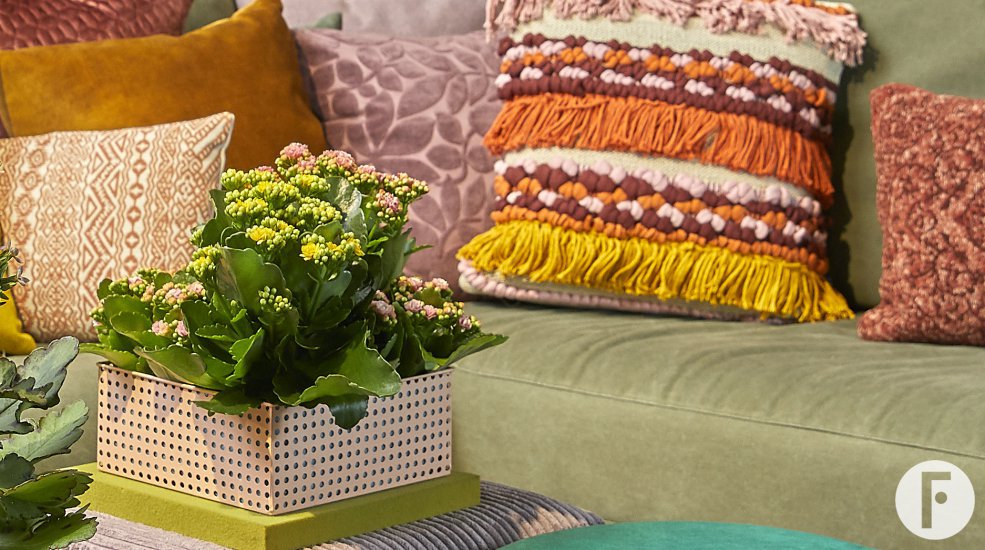 Kalanchoe in sfeervol interieur