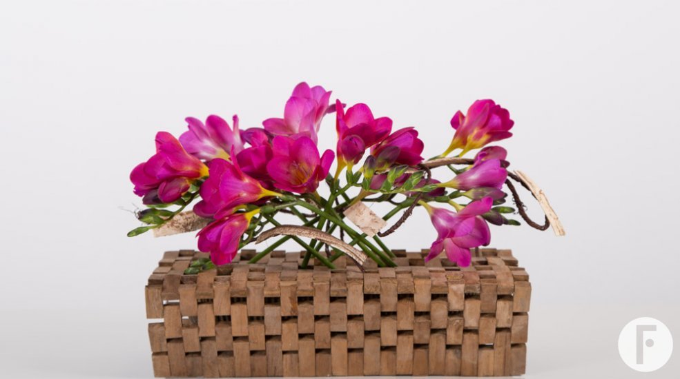 Felroze Freesia arrangement