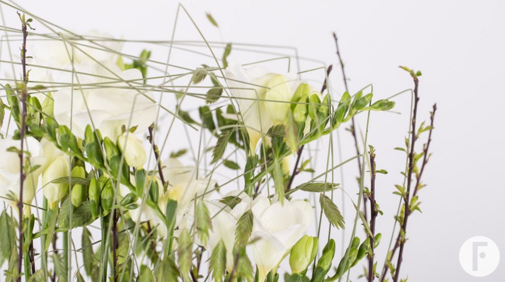 Small Freesia Forest top close-up