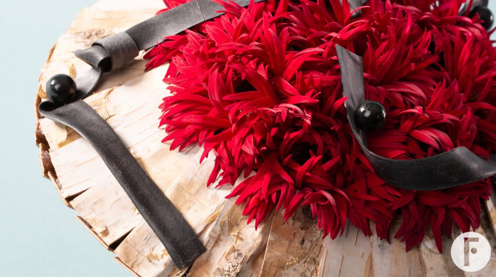 Mini Gerbera Mi Twisti Zetta