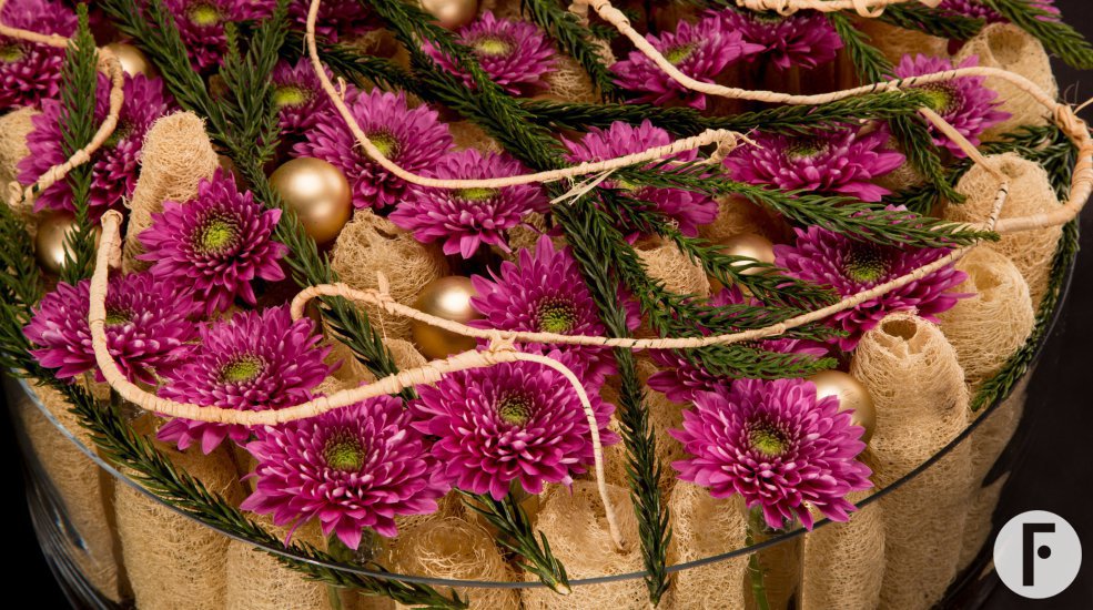 Romance Purple for Christmas Zentoo Roos van Unen Flower Factor 3 1