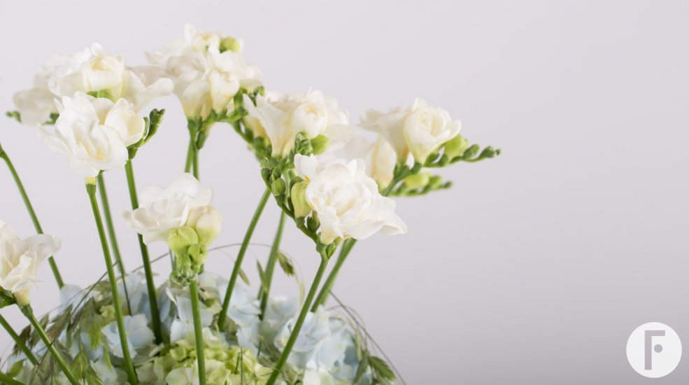 Romantisch Freesia design