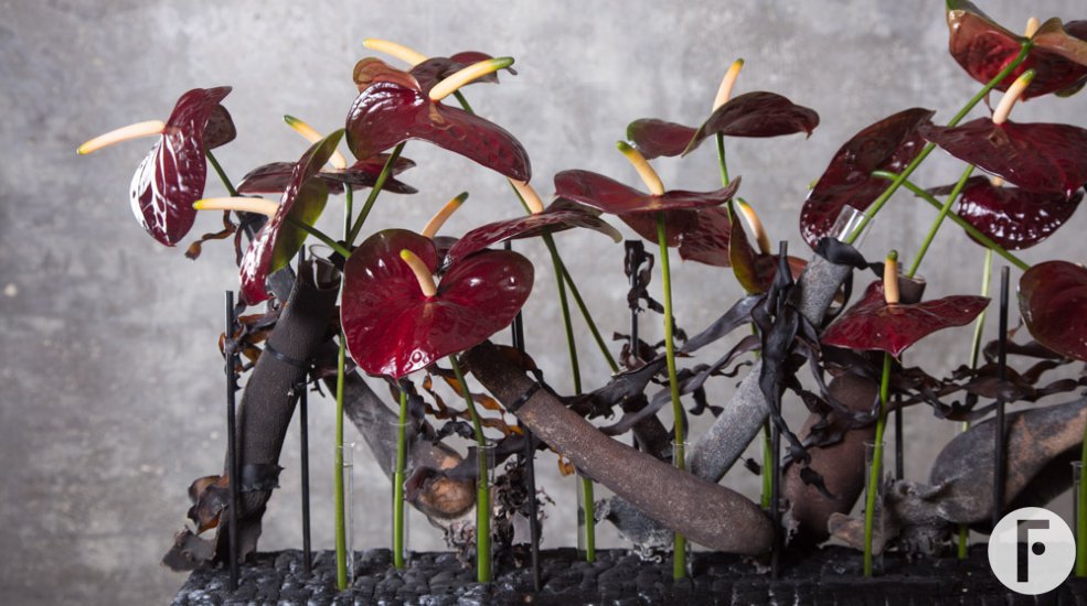 Spannend bloemwerk met Black Queen Anthurium door Pim van den Akker