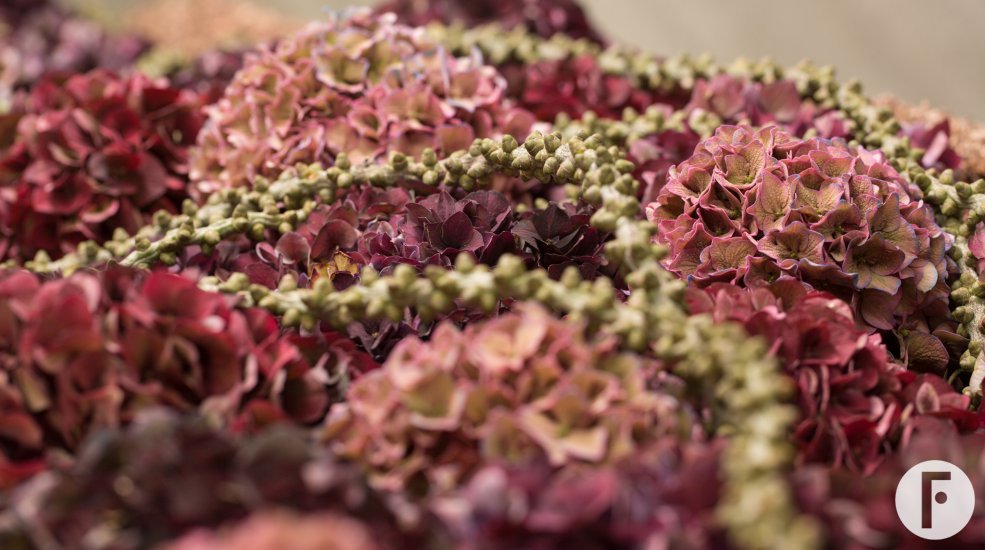 Casket cover with classic Hydrangea