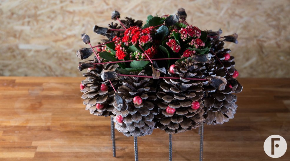 Kalanchoe pine cone design Roos van Unen Flower factor Always kalanchoe