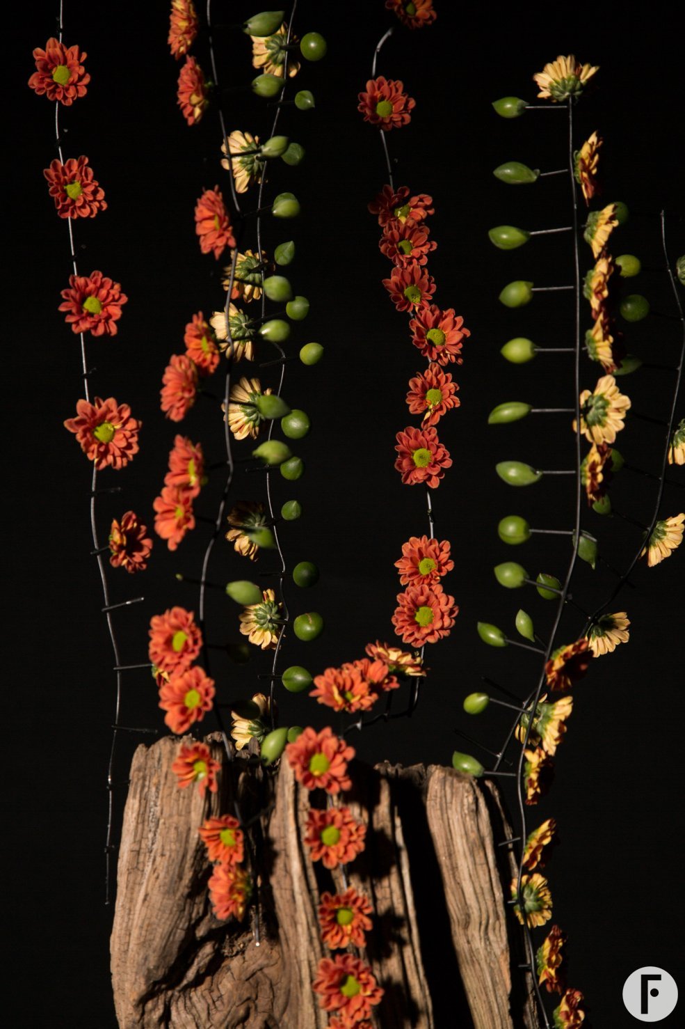 Chrysanthemum 'Pimento Orange' in an autumn flower arrangement
