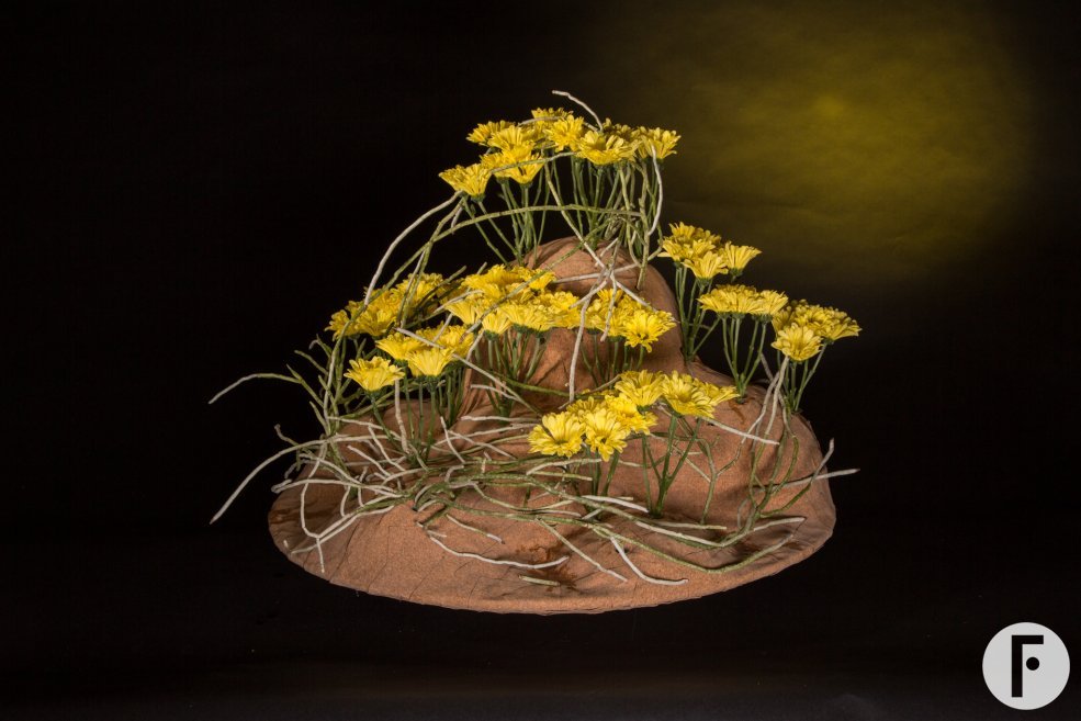 Chrysant Nibali design