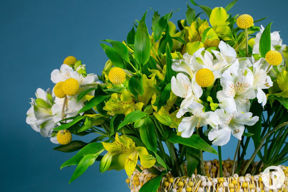 Fresh and summery Alstroemeria bouquet - Flower Factor