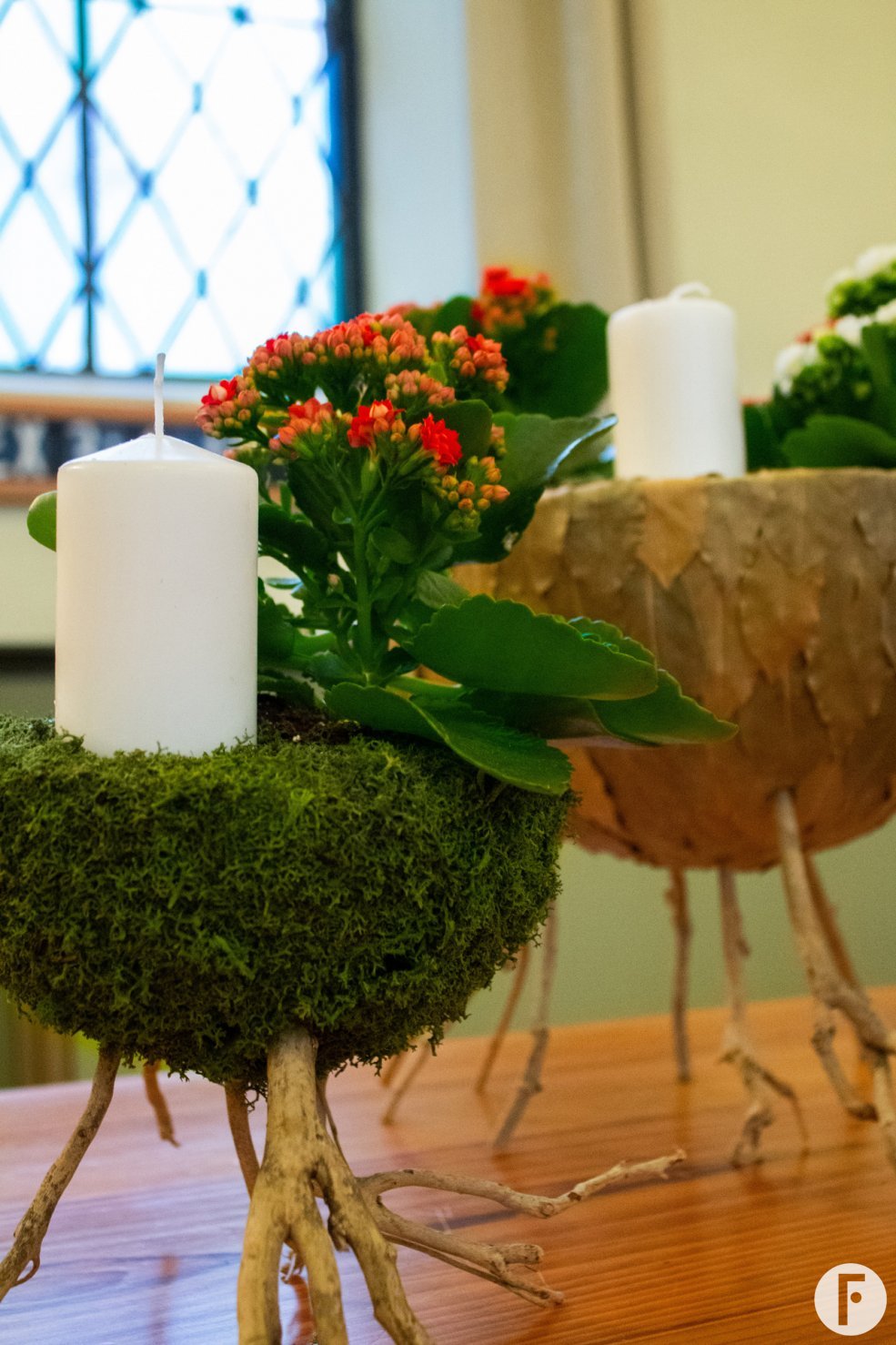 Advent and Kalanchoë