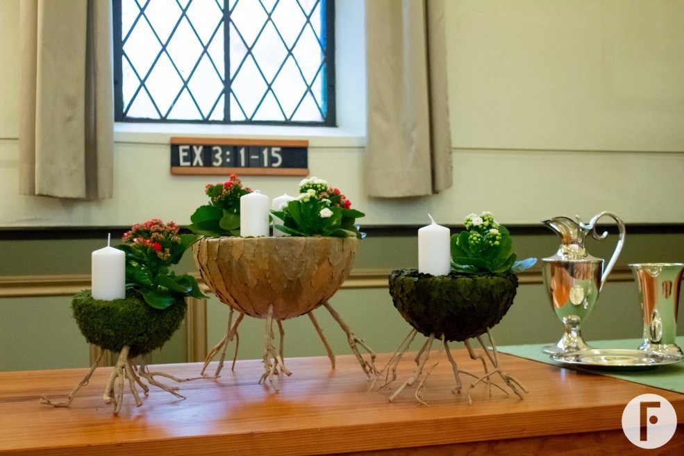 Advent arrangement met Kalanchoë