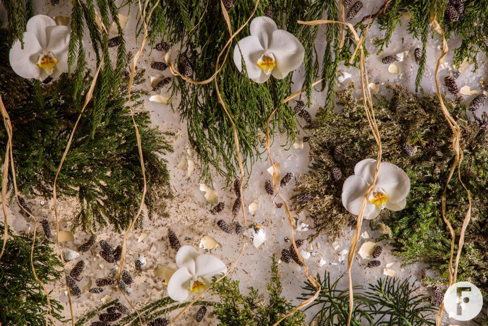 Festive Christmas painting with Christmas branches