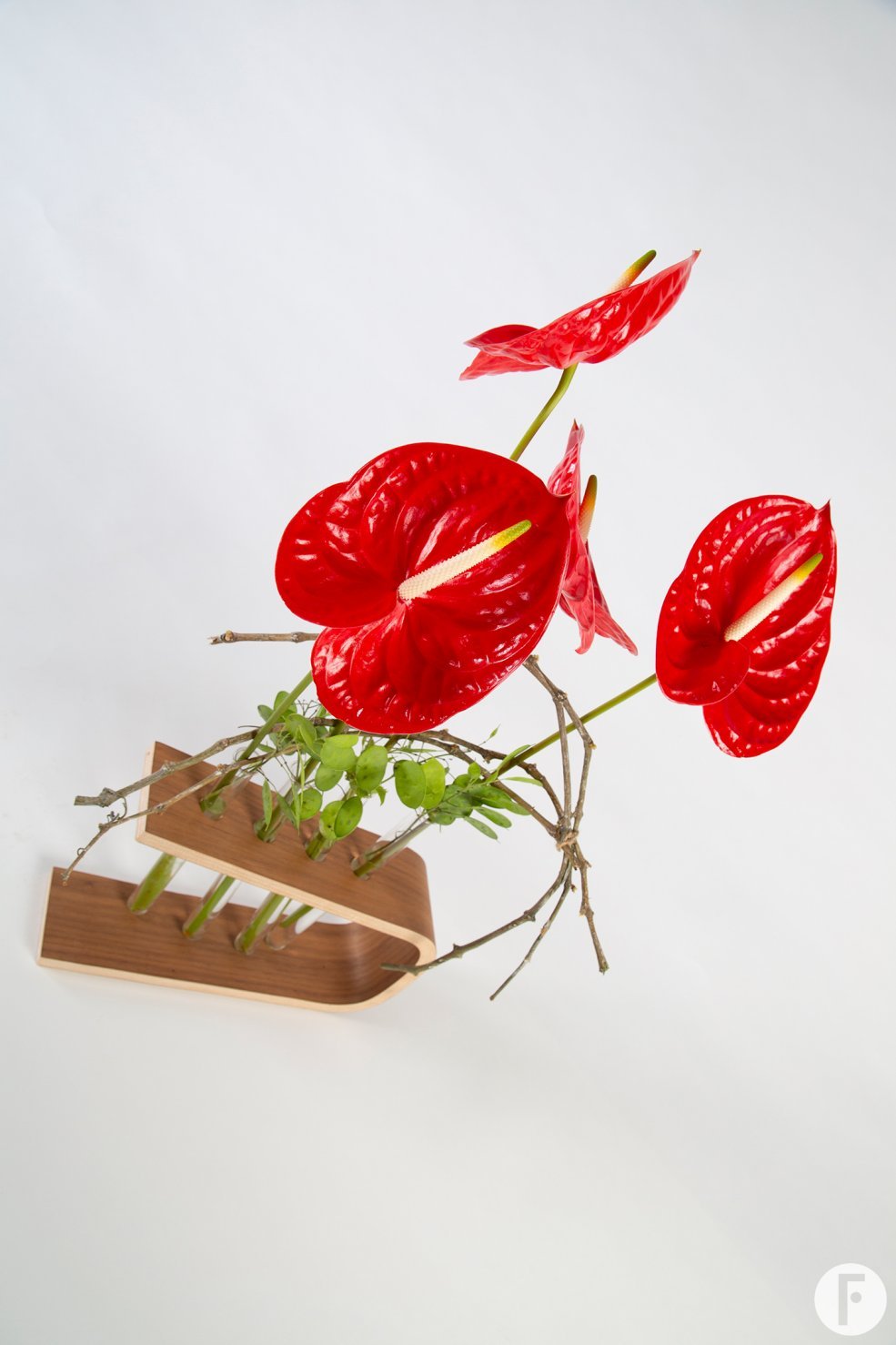 Anthurium object - Pim van den Akker - Flower Factor