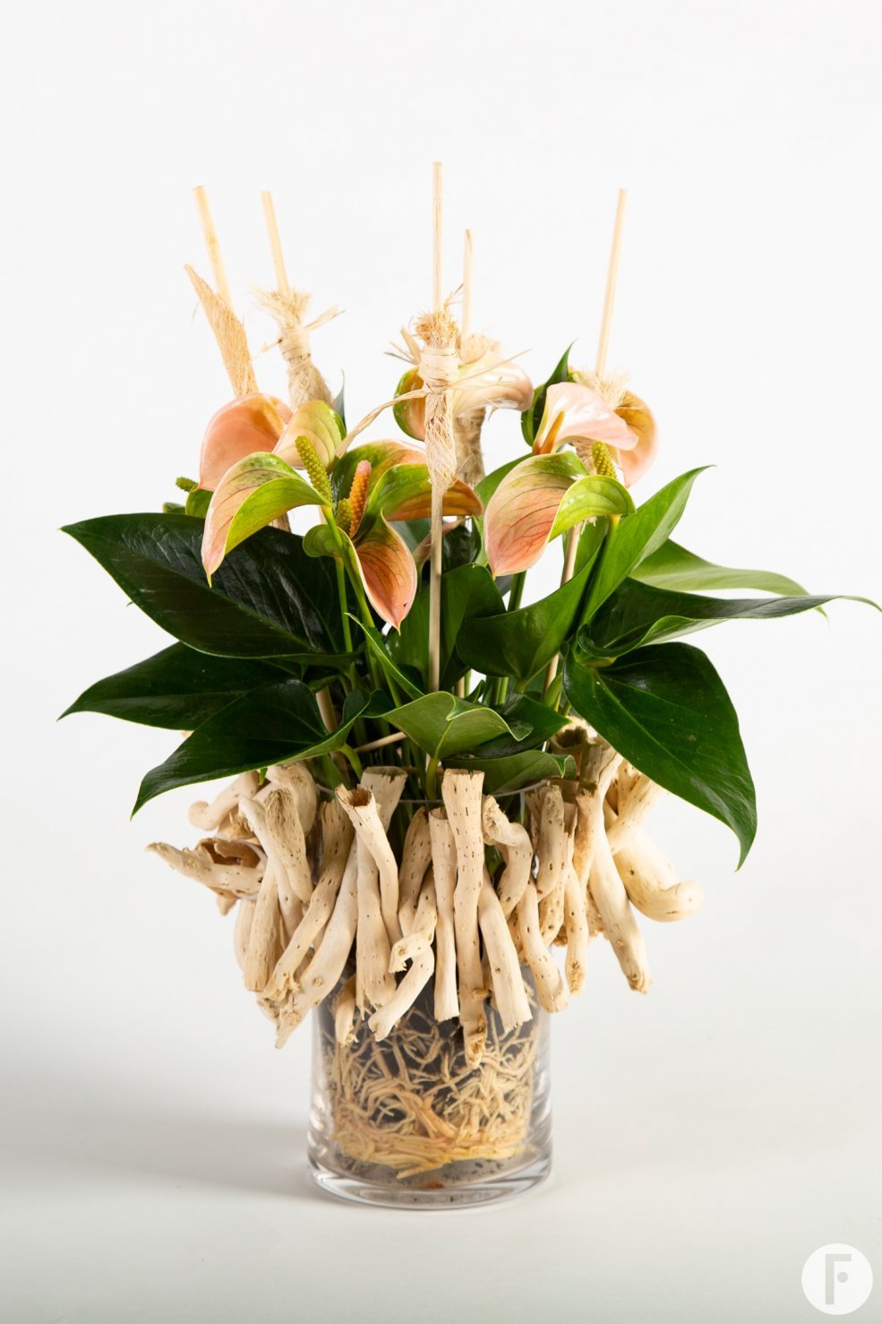 Anthurium arrangement with natural details - Flower Factor