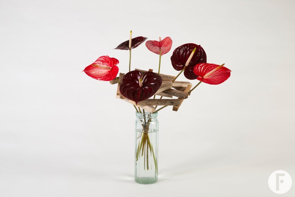 frameboeket met Anthuriums - Pim van den Akker - Flower Factor