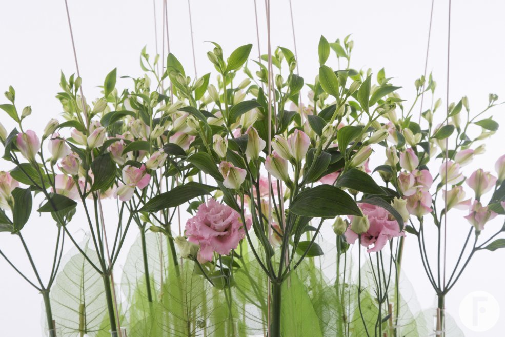 Charmelia display design David Ragg close up preview2