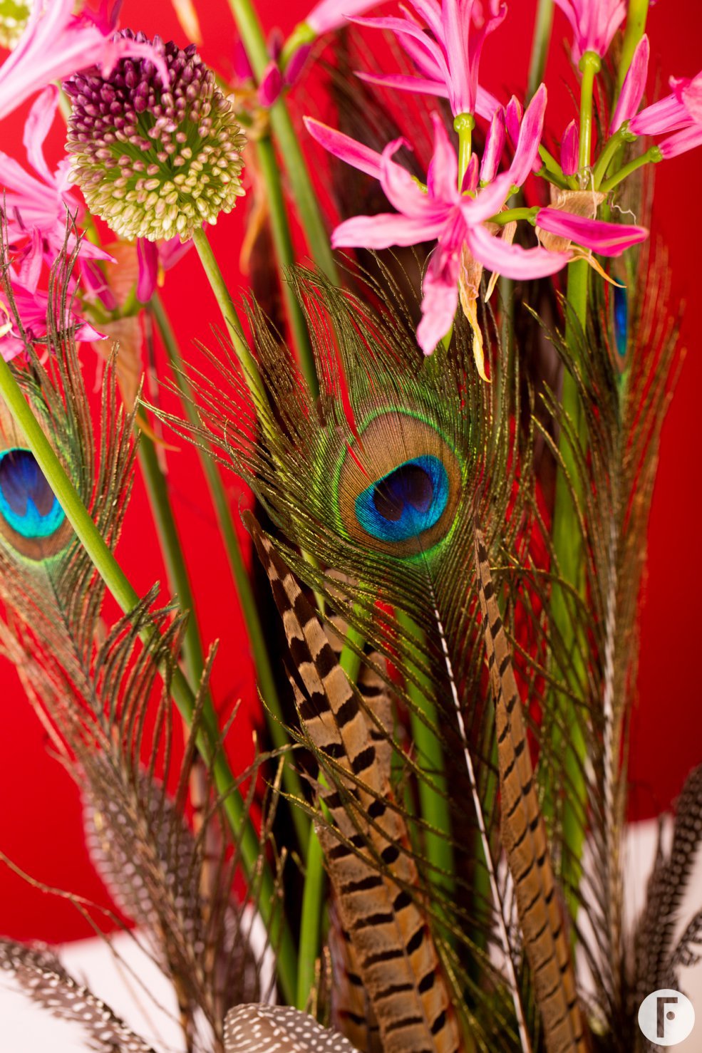 Autumn design with feathers - Pim van den Akker - Flower Factor