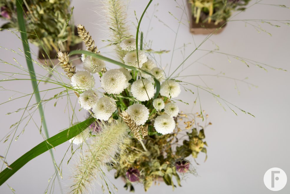 Pizarro - Dennis Lanzaat - Flower Factor