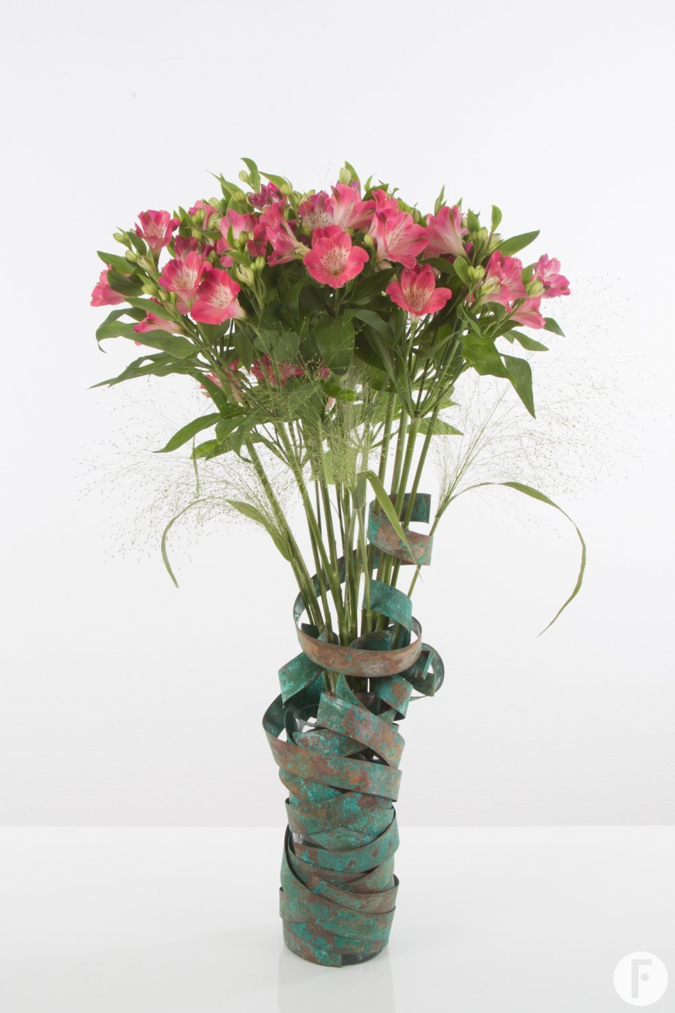 Alstroemeria Florinca 'Noa' met koperen strips open bloemen